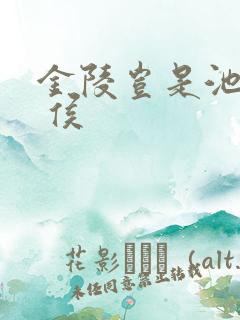 金陵岂是池中物 侯