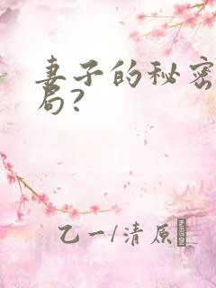 妻子的秘密大结局?