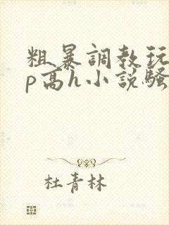 粗暴调教玩弄np高h小说骚受
