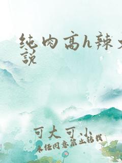 纯肉高h辣文小说