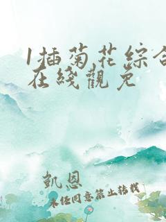1插菊花综合网在线观免