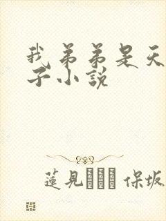 我弟弟是天选之子小说