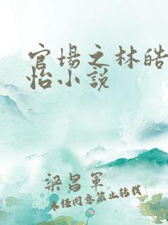 官场之林皓李静怡小说