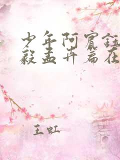 少年阿宾钰慧小毅孟卉篇在线阅读