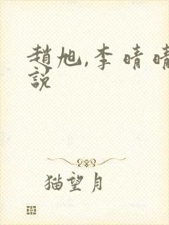 赵旭,李晴晴小说