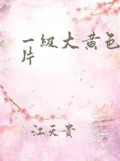 一级大黄色录像片