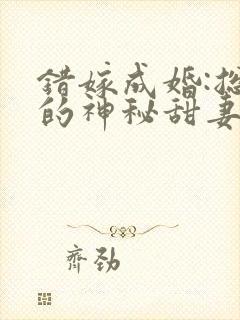 错嫁成婚:总裁的神秘甜妻 错嫁成婚:总裁的神秘甜妻