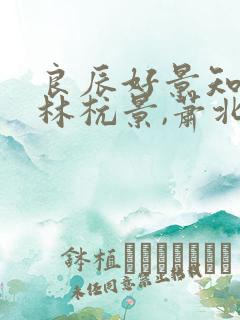 良辰好景知几何林杭景,萧北辰全文阅读 良辰好景知几何林杭景,萧北辰全文阅读