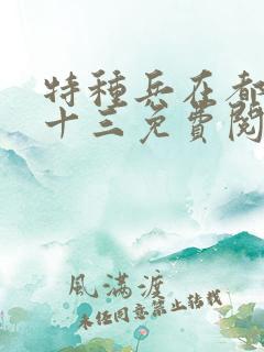 特种兵在都市夜十三免费阅读