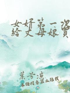 女婿第一次上门给丈母娘买啥