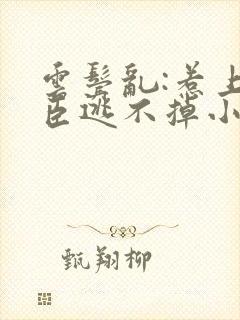 云鬓乱:惹上奸臣逃不掉小说免费阅读