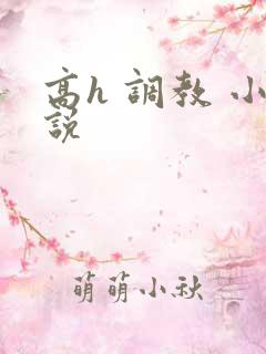 高h 调教 小说