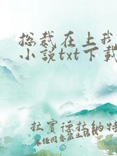 总裁在上我在下小说txt下载