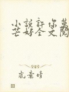 小说许你万丈光芒好全文阅读