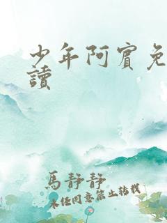 少年阿宾免费阅读