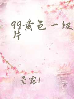 99黄色一级淫片