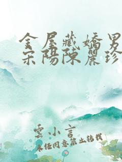 金屋藏娇男主角宋阳陈丽珍