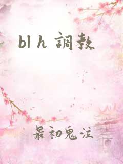 bl h 调教