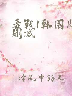 毒战1韩国版无删减