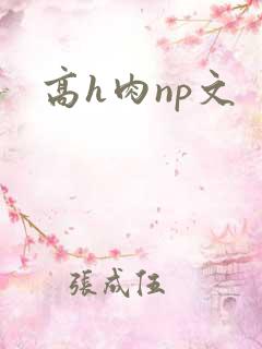 高h肉np文