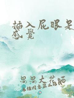 插入屁眼是什么感觉
