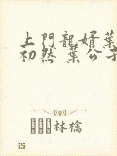 上门龙婿叶辰萧初然 叶公子