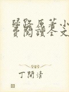 归路原著小说免费阅读全文