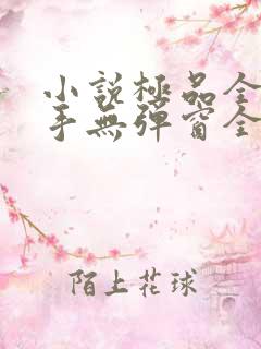 小说极品全能高手无弹窗全文免费阅读
