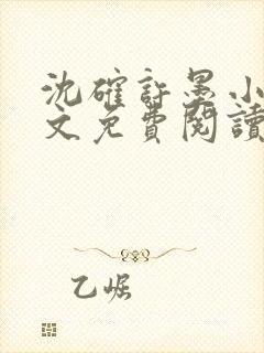 沈确许墨小说全文免费阅读