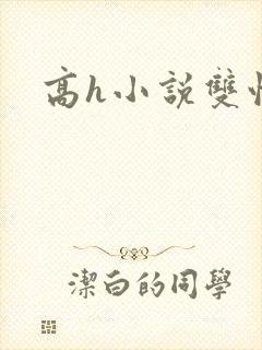 高h小说双性高