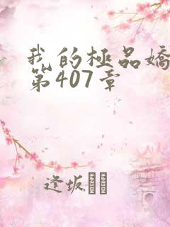 我的极品娇妻 第407章