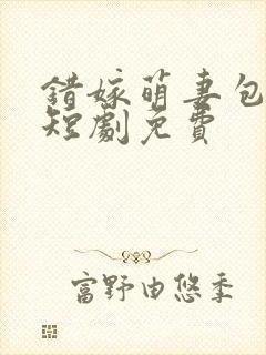 错嫁萌妻包甜的短剧免费