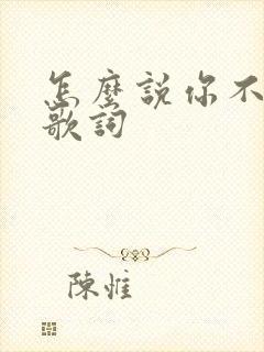 怎么说你不爱我歌词