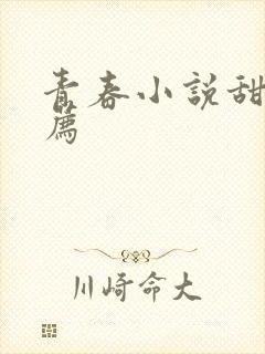青春小说甜文推荐