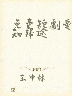 免费短剧爱你不知归途