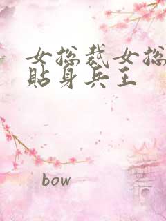 女总裁女总裁的贴身兵王
