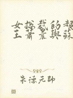 女总裁的超级兵王萧晨与苏晴