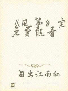 《风筝》完整版免费观看