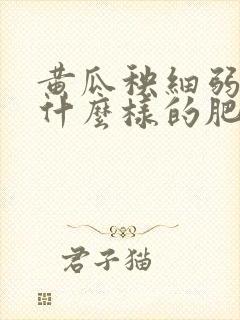 黄瓜秧细弱该用什么样的肥