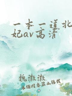 一本一道北条麻妃av高清