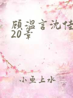 顾温言沈佳芮第20章