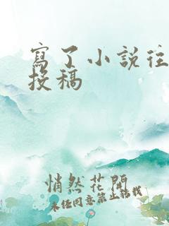 写了小说往哪里投稿