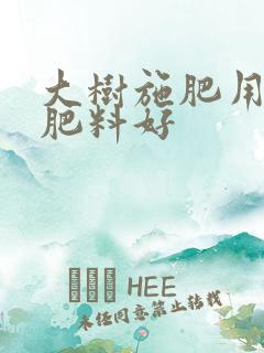 大树施肥用什么肥料好