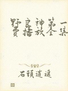 野良神第一季免费播放全集
