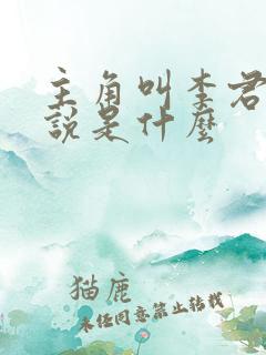 主角叫李君的小说是什么