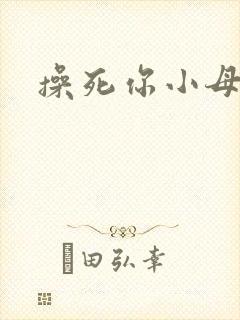操死你小母狗