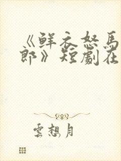 《鲜衣怒马少年郎》短剧在线观看