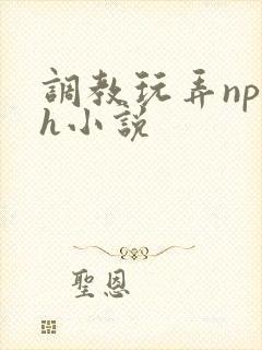 调教玩弄np高h小说