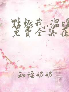 点燃我,温暖你免费全集在线观看