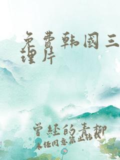 免费韩国三级伦理片